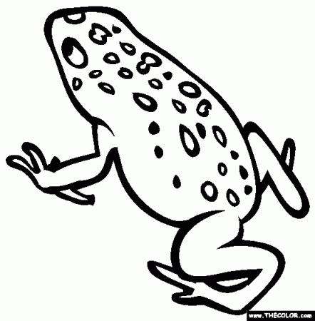 Golden Poison Frog Coloring Page | Free Golden Poison Frog Online Coloring