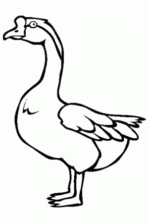 Awesome Picture of Goose Coloring Page - NetArt