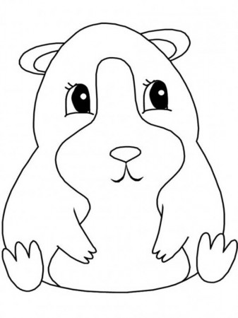 guinea pig coloring pages : Coloring - Kids Coloring Pages