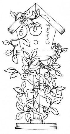 Bird houses coloring pagesglobalperspectives.info