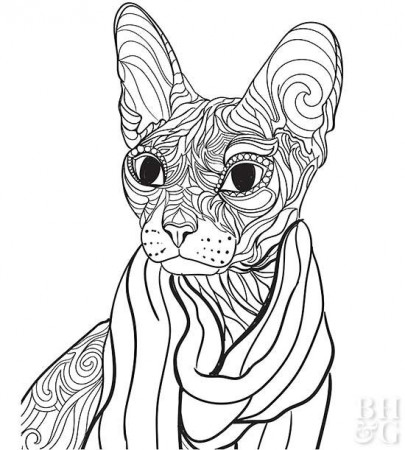 24 Free Pet Coloring Pages | Better Homes & Gardens