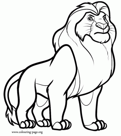 Free Download Lion Coloring Pages - Toyolaenergy.com
