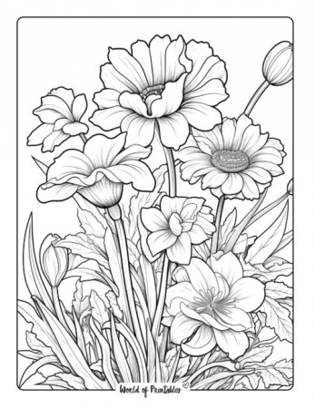 Flower Coloring Pages For Kids & Adults