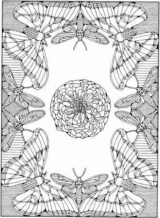 owl coloring pages for adults - Printable Kids Colouring Pages