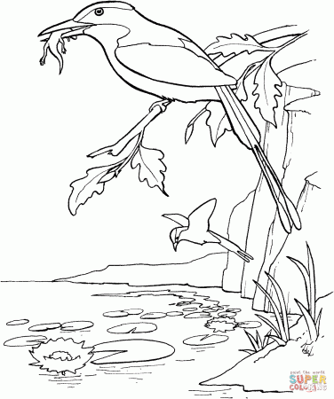 Pink-Breasted Kingfisher coloring page | Free Printable Coloring Pages
