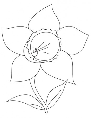 Daffodil bulb coloring page | Download Free Daffodil bulb coloring ...
