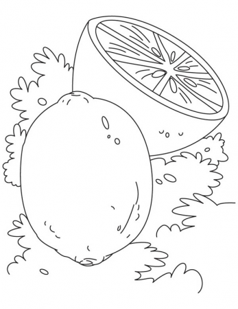 Pin on Lemon Coloring Pages