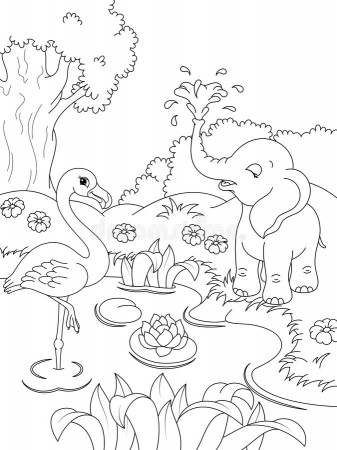 Nature Animals Coloring Pages