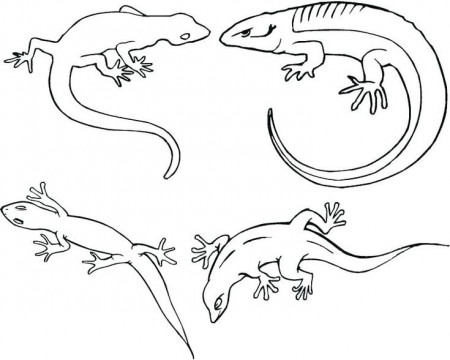 Gecko Coloring Pages - Best Coloring Pages For Kids | Family coloring pages,  Coloring pages, Coloring pages for kids