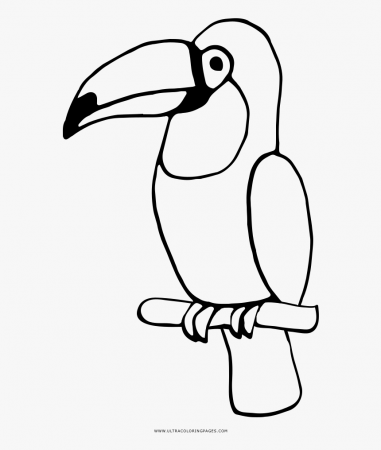 Toucan Coloring Page - Colouring Page Of A Toucan, HD Png Download ...