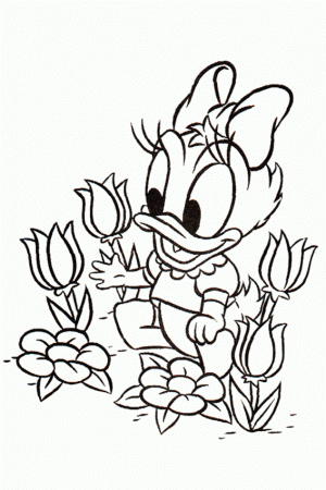 Baby Daisy Duck Coloring Pages - Coloring Page