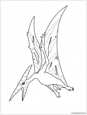 Pteranodon 1 Coloring Pages - Pteranodon Coloring Pages - Coloring Pages  For Kids And Adults