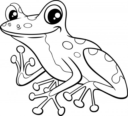 poison dart frog animal character cartoon coloring page 10661986 Vector Art  at Vecteezy