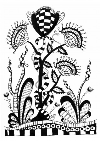 Zentangle-a-color-wildflowers-by-olive - Zentangle Kids Coloring Pages