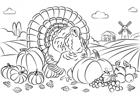 Pavo de Acción de Gracias con Cosecha para colorear, imprimir e dibujar  –ColoringOnly.Com