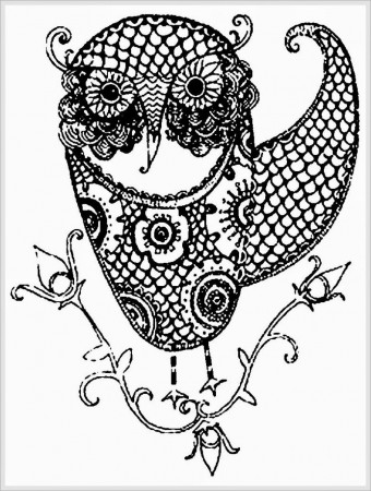 owl coloring pages for adults | Only Coloring Pages