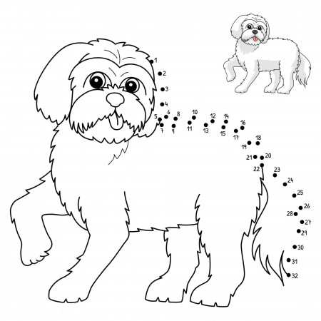 Premium Vector | Dot to dot maltese dog isolated coloring page