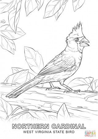 West Virginia State Bird coloring page | Free Printable Coloring Pages