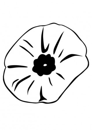 Close Up Picture of Poppy Coloring Page | Color Luna