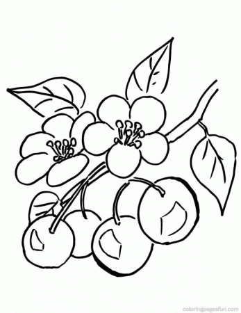 Branch Of Cherry Tree Coloring Pages | Free Printable Coloring 