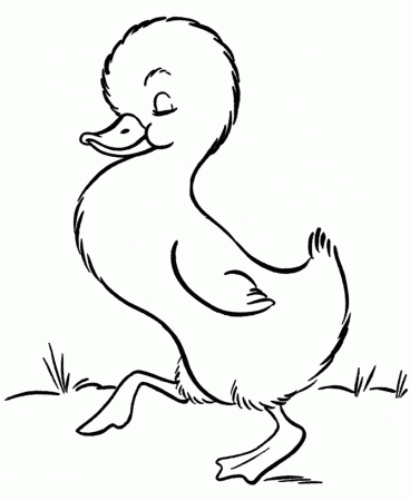 colorwithfun.com - Duck Coloring Printables