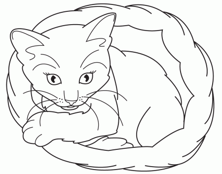 Coloring Pages Of Kittens - Coloring For KidsColoring For Kids