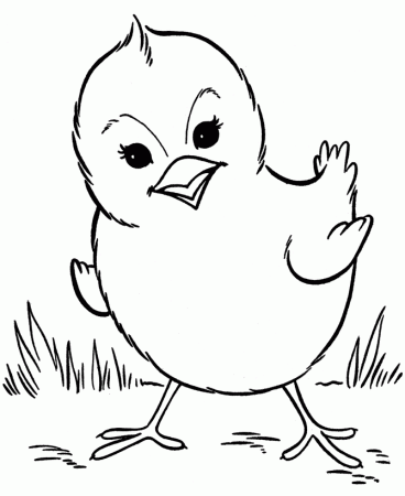 Farm Animal Coloring Pages Spring baby chick Coloring Page and 