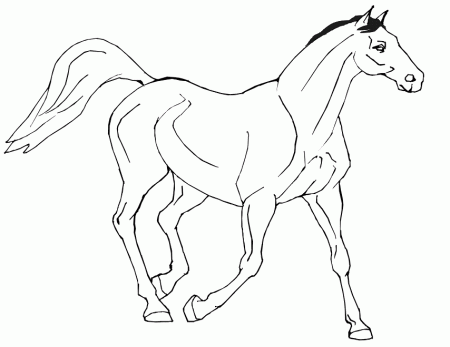 Horse Coloring Pages 81 275575 High Definition Wallpapers| wallalay.