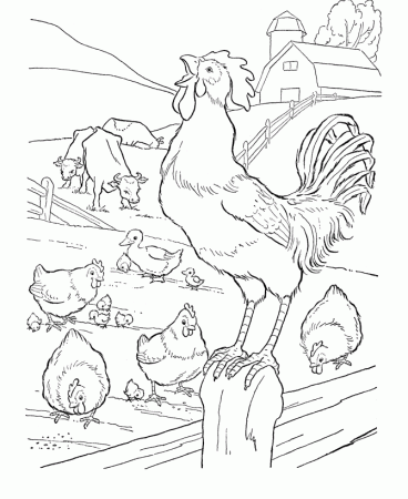 horse coloring pages horseland