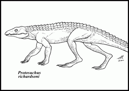 Protosuchus richardsoni by zakafreakarama on deviantART