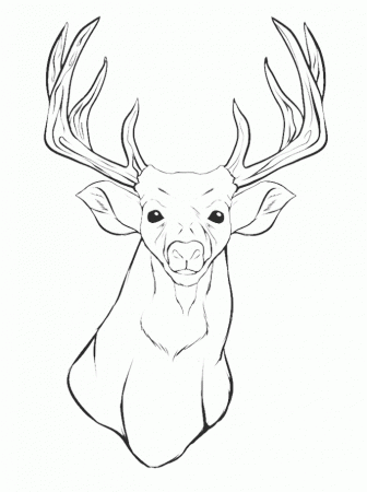 Printable Deer Head Coloring Pages - Animals Coloring : oColoring.