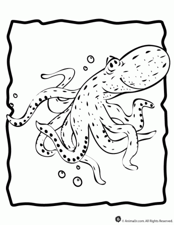 Octopus Coloring Pages | Free coloring pages