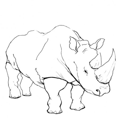 Coloring Pages of Rhino - Free for Kids | Animal Vista