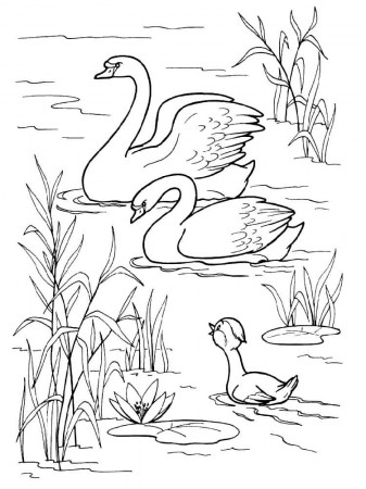 Swan coloring pages. Download and print Swan coloring pages