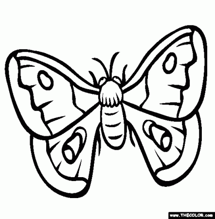 Moth Coloring Page | Free Moth Online Coloring