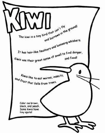 Kiwi Coloring Page | crayola.com