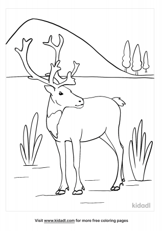 Caribou Coloring Pages | Free Animals Coloring Pages | Kidadl
