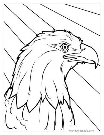 30 Bald Eagle Coloring Pages (Free PDF Printables)