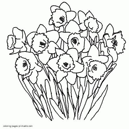 Daffodils coloring page || COLORING-PAGES-PRINTABLE.COM