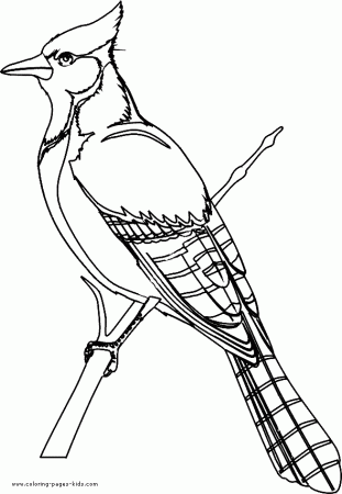 bird coloring plate,animal coloring pages, color plate, coloring ...