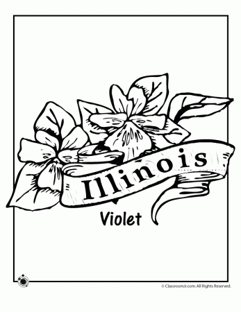 Illinois State Flower Coloring Page in 2020 (With images) | Flower ...