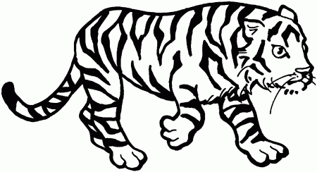 Free Printable Coloring Pages Of Tigers - High Quality Coloring Pages