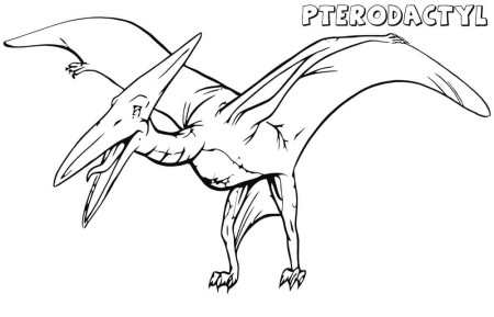 Pterodactyl Coloring Pages - Free Printable Coloring Pages for Kids