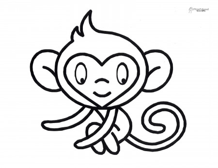 Funky Monkey Painting Project | Squarehead Teachers
