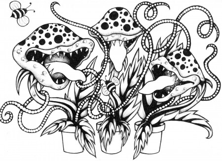 Pin on Venus Fly Trap Coloring Pages
