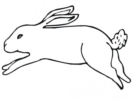 Running Jack Rabbit Coloring Page - Free Printable Coloring Pages for Kids