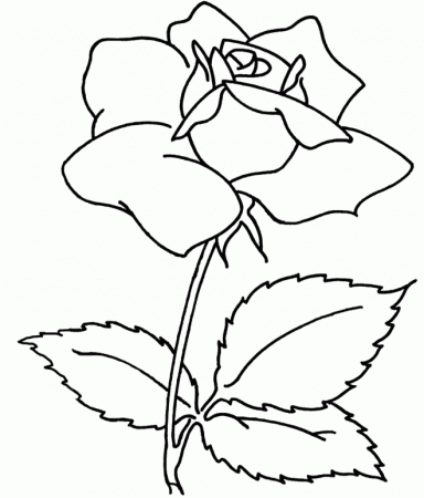 Free Flower Coloring Pages For Adults Printable - VoteForVerde.com