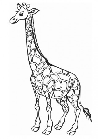 African Animal Giraffe Coloring Page | Kids Coloring Page