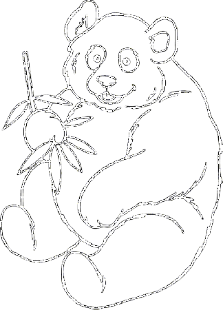 Coloring Page - Bear coloring pages 19