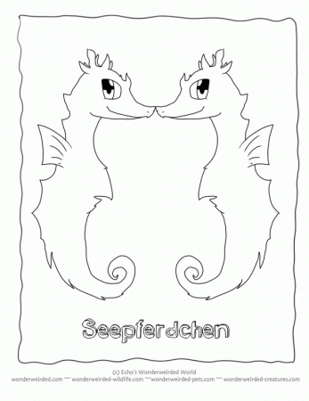 Pix For > Seahorse Drawings For Kids